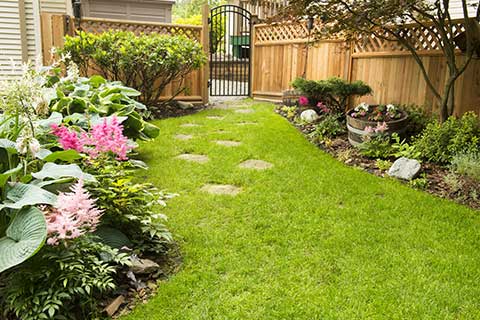 fencing company lewisville